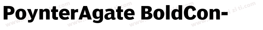 PoynterAgate BoldCon字体转换